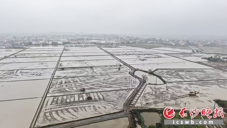 望城区此次高标准农田建设不仅实现了“小田变大田”的形态转变，更同步推进水利、路网升级，彻底解决运粮难、送肥难、灌溉难。 长沙晚报通讯员 沈文强 摄
