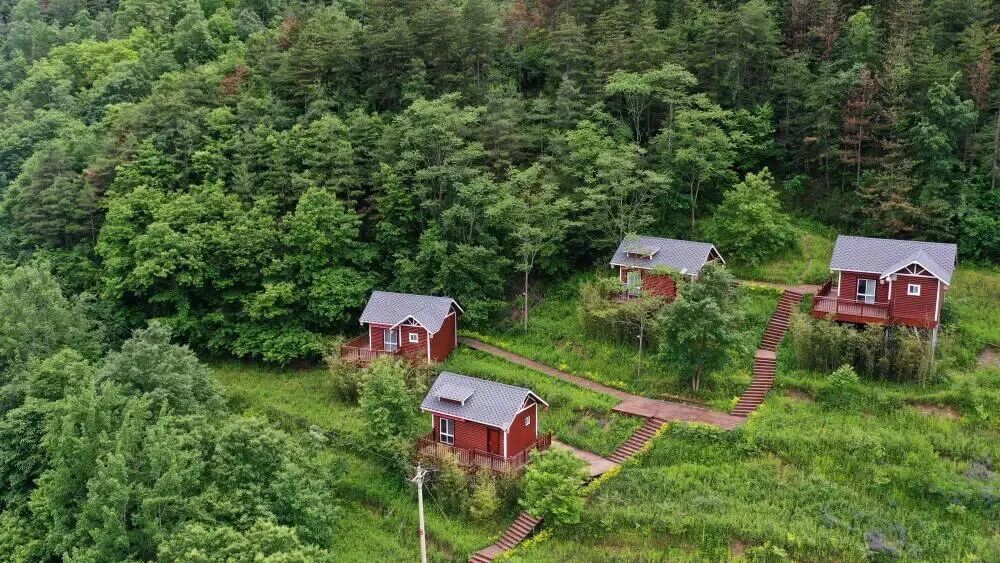 陇南市康县长坝镇花桥村的森林小木屋（无人机照片）　新华社记者　郎兵兵　摄