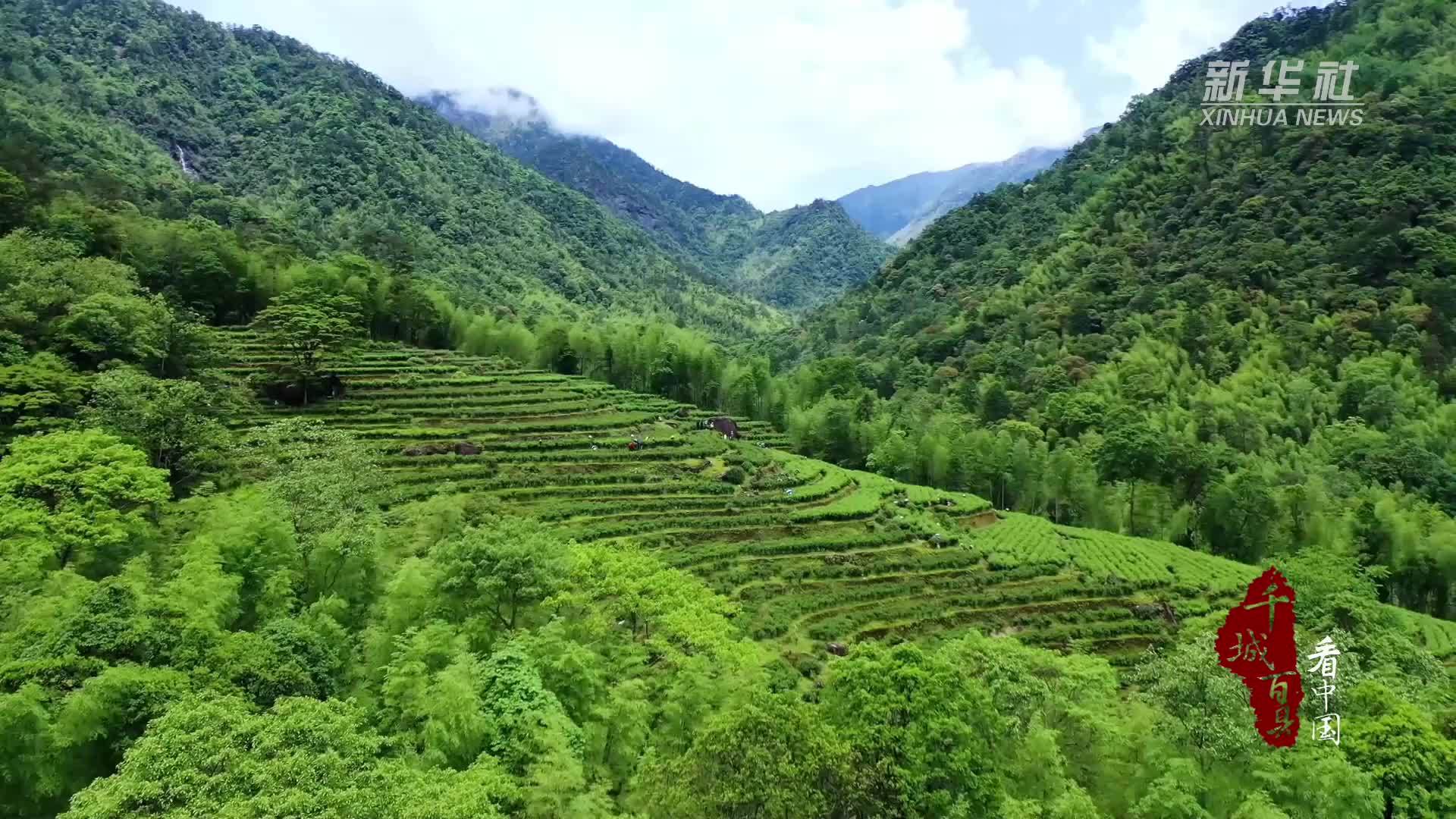 千城百县看中国丨福建建阳：山水藏茶韵 清欢养本心