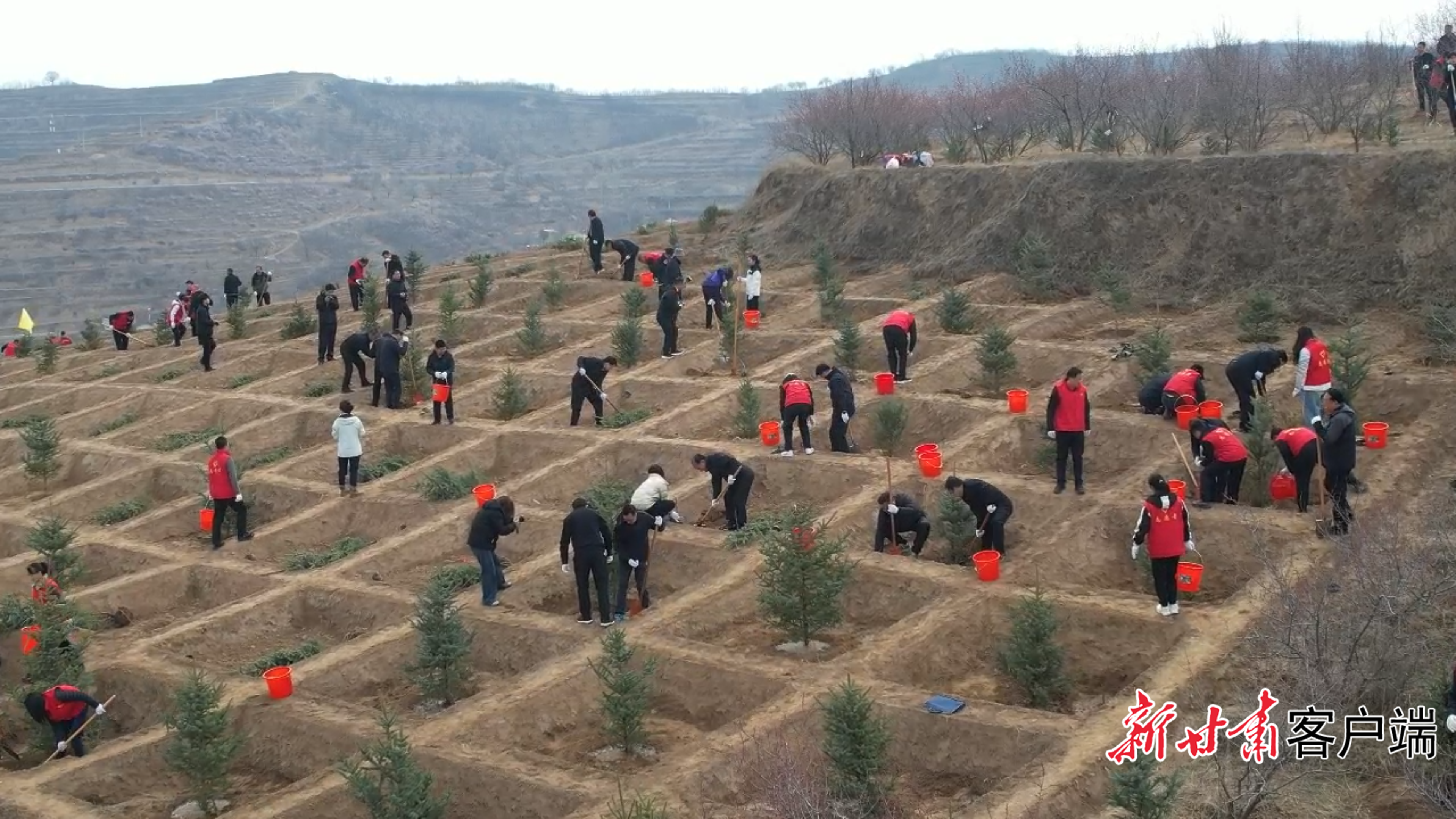 静宁县干部群众集中植树现场　新甘肃&middot;甘肃日报通讯员　罗瀚　摄