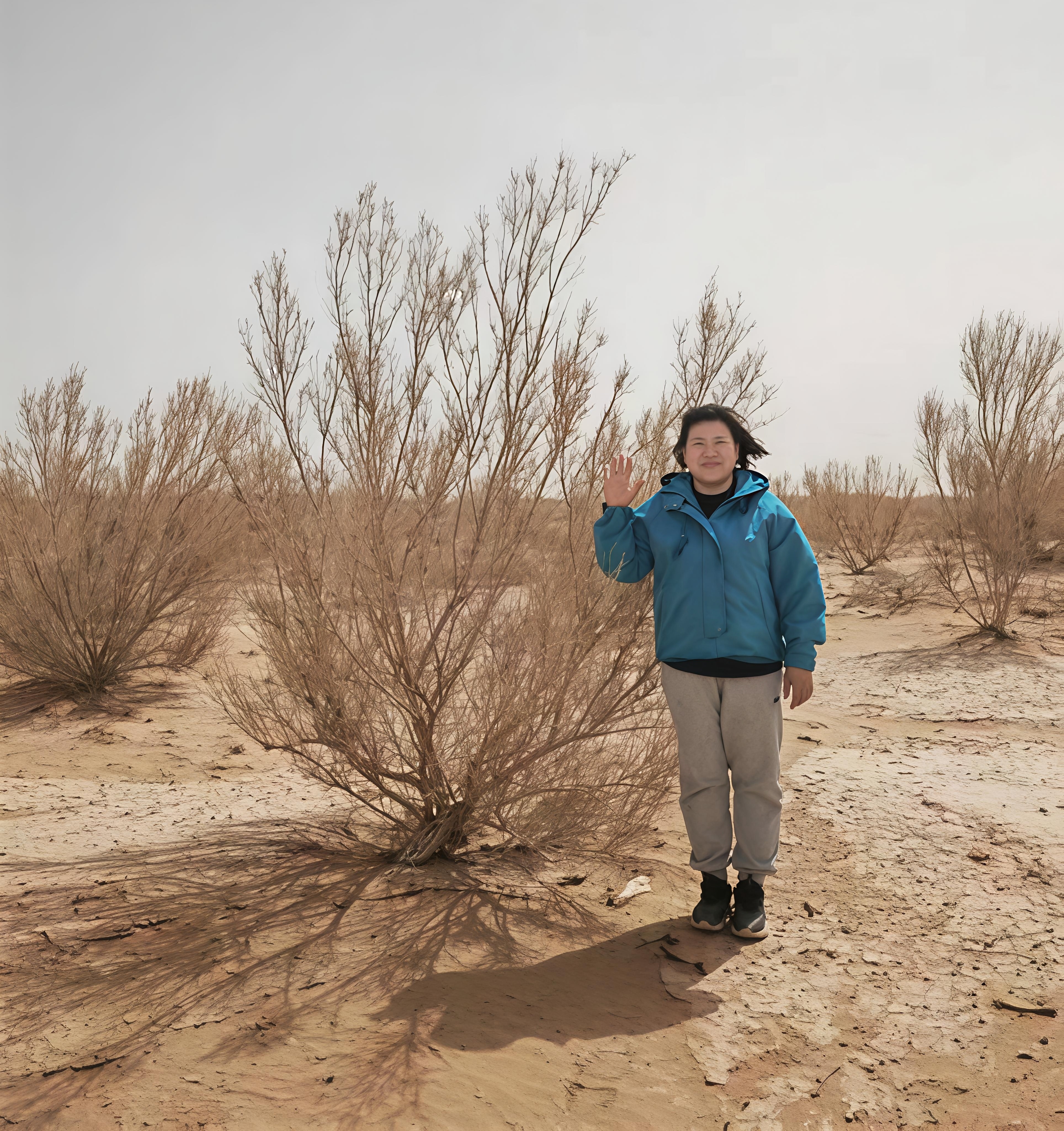 曲红在梭梭树下拍照留念