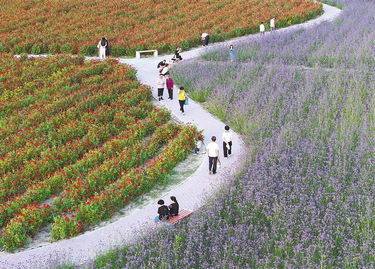 武威市新城区市政广场（资料图）　姜爱平