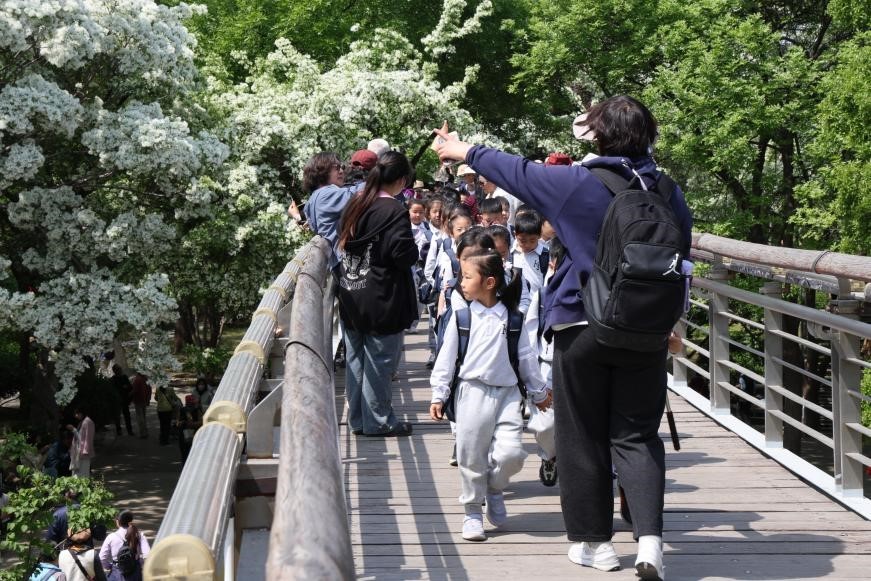 超萌出圈！把春天、运动、快乐一网打尽