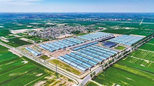 2025年5月1日，衡水市冀州现代农业融合创新基地，一座座现代化温室大棚整齐排列。（本报资料片） 本报记者 李东宇摄
