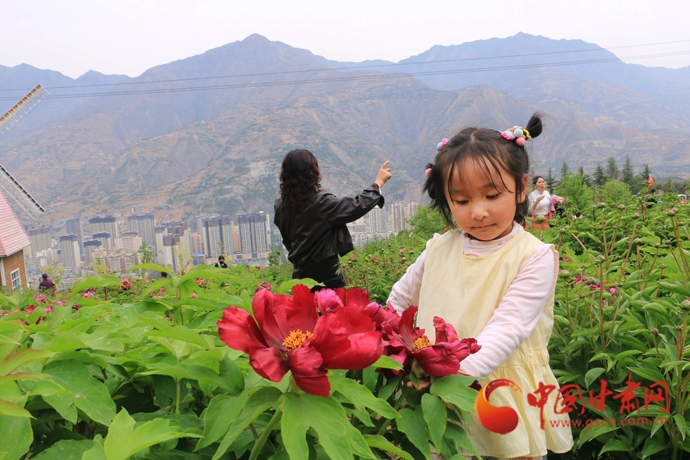 游人指点寻春趣，稚女凝眸嗅芳颜。