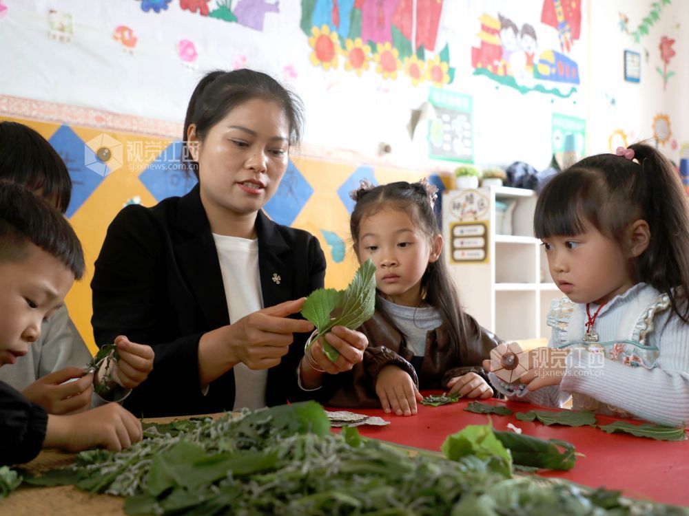 江西分宜：萌娃学养蚕 课堂乐趣多（图）