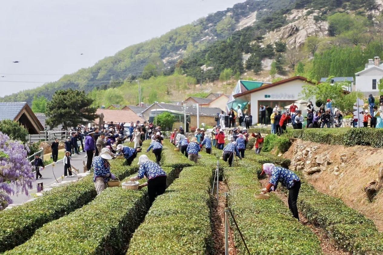 （图源：大众网）