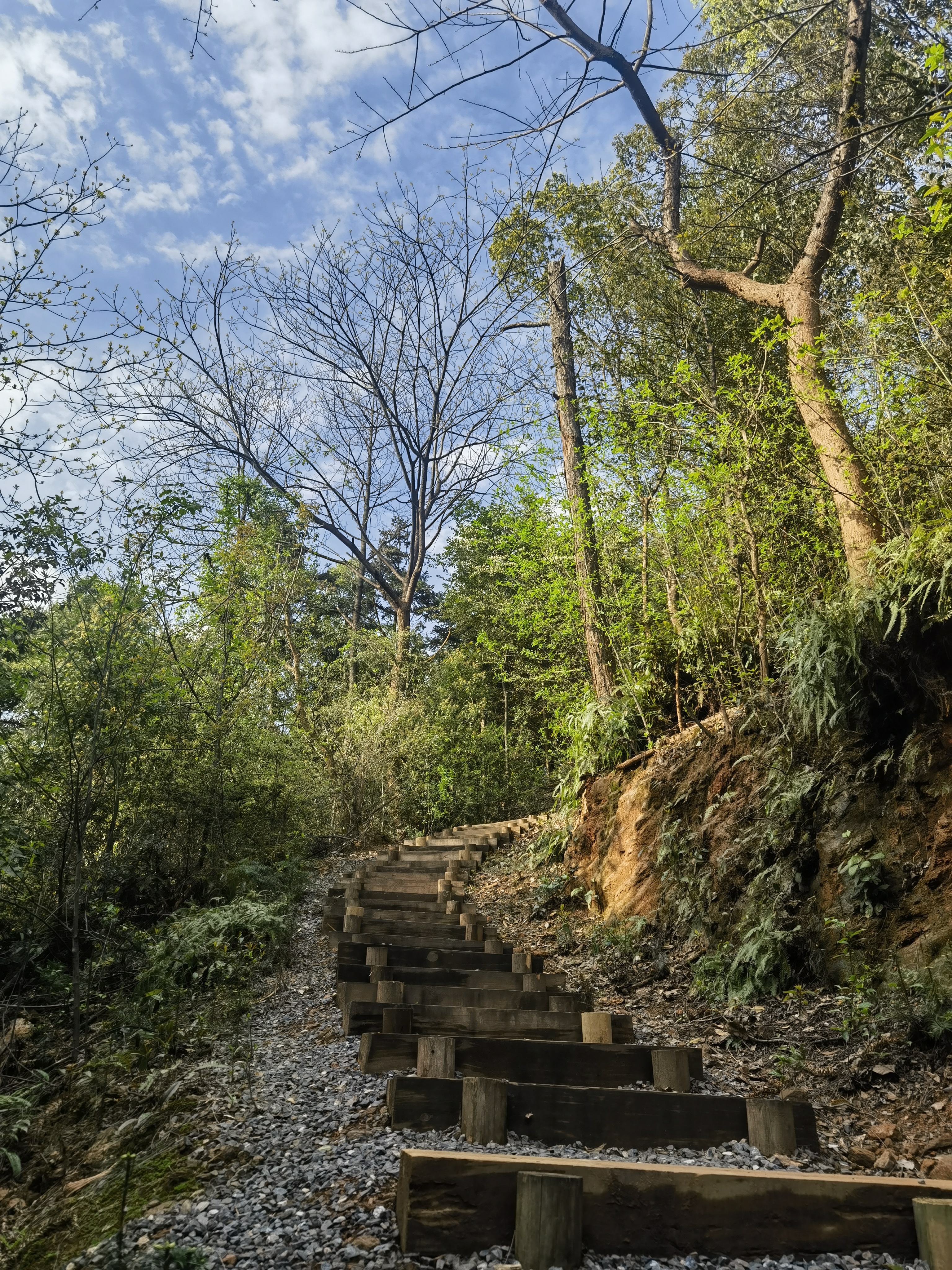 288万起，长沙“5A级墅区”入场券！麓隐青竹湖定义好房子标准