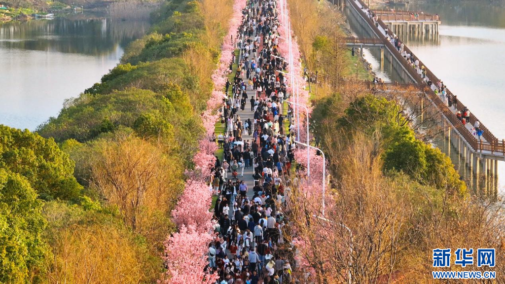 在南昌高新区艾溪湖湿地公园，众多市民游客前来赏花游玩。新华网发