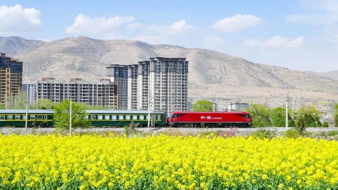 图源：武山融媒