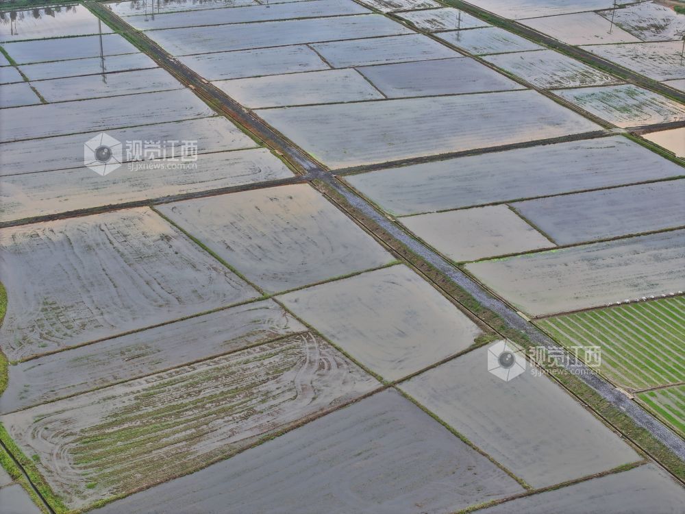 江西芦溪：建设高标准农田（图）