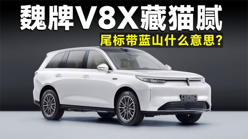 魏牌从蓝山到V9X，是一场蓄谋已久的品牌升维战？