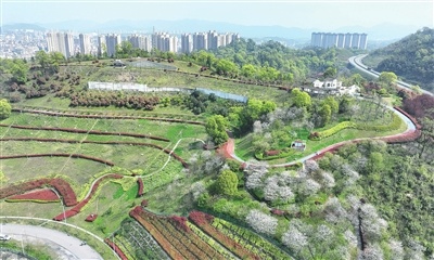 江西萍乡：生态“披绿” 发展“生金”（图）