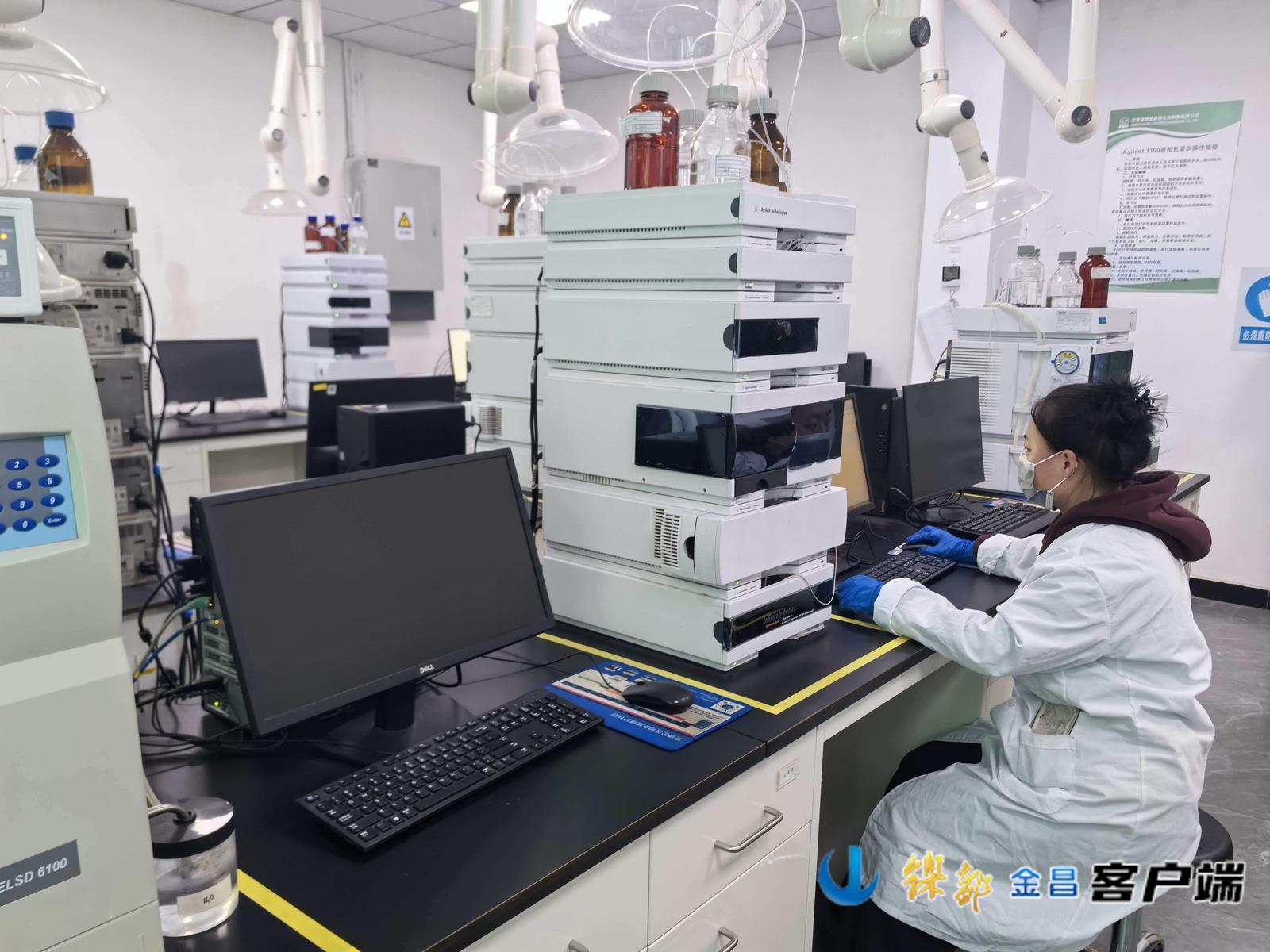 △甘肃道璞爱斯特生物科技有限公司工作人员正在做取样检测