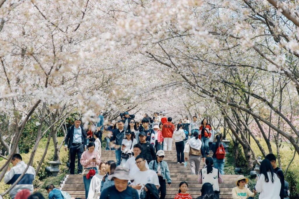 超燃！南京江宁这个赛事青春活力满满！