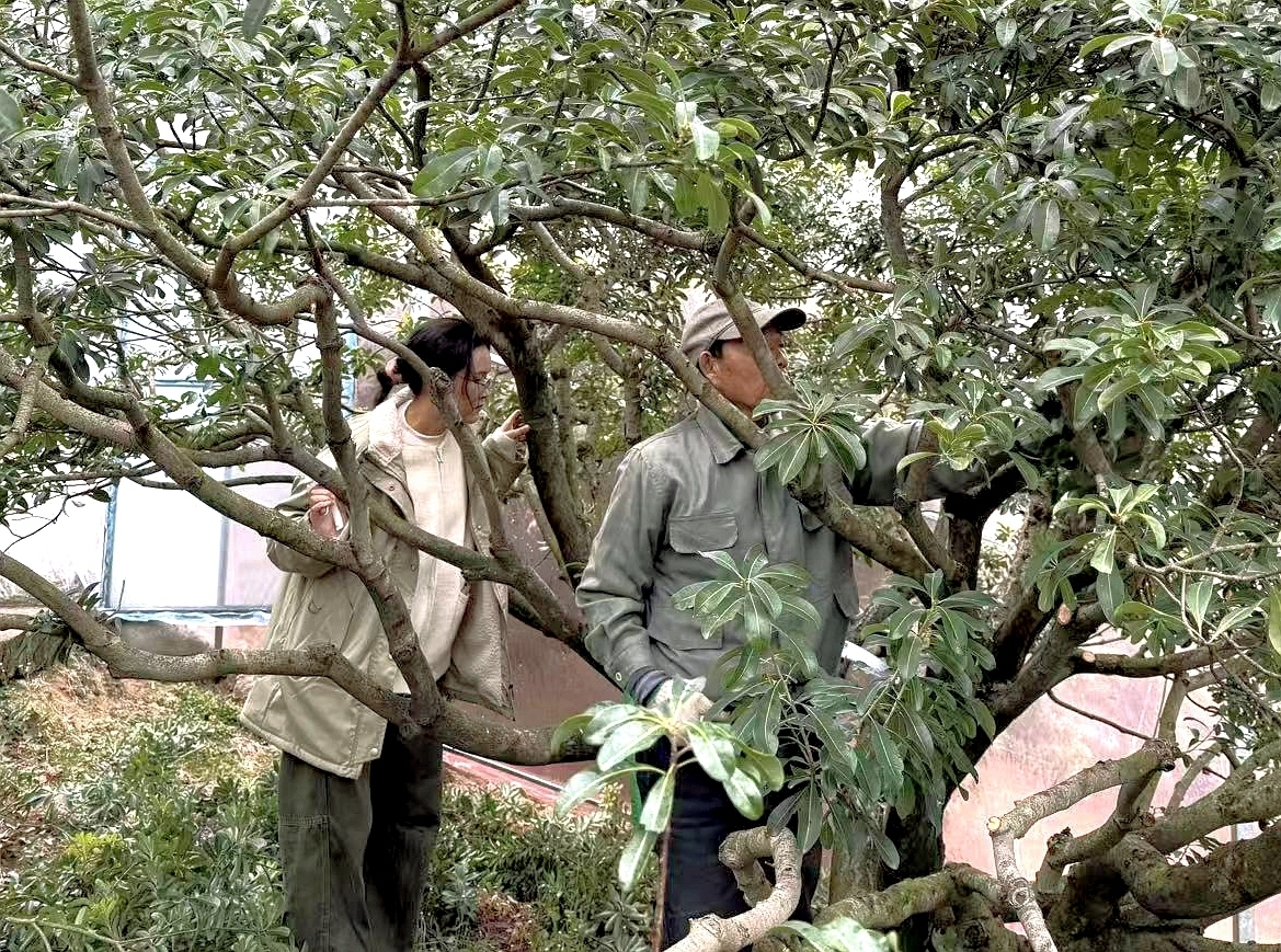 东西协作 | 从大凉山到东海之滨：一位彝族“95后”农技干部的“取经”之旅