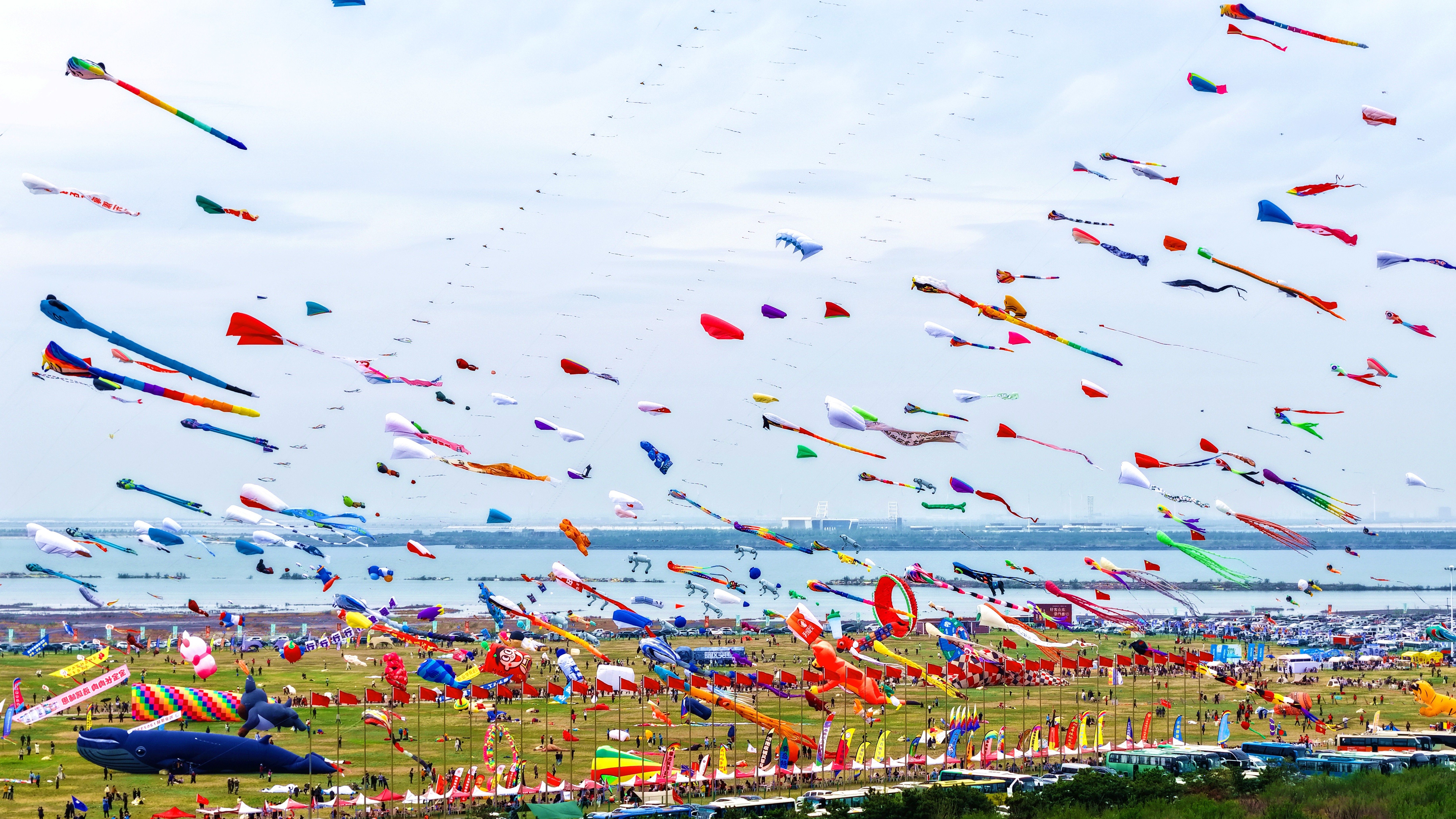第22届世界风筝锦标赛预赛暨2026潍坊风筝大赛预赛在潍坊滨海开赛