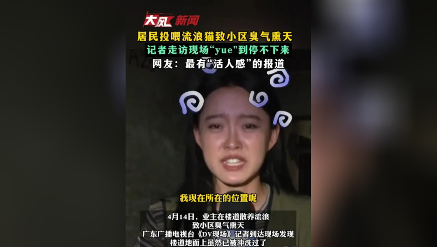 居民投喂流浪猫致小区臭气熏天 记者走访现场“yue”到停不下来 网友：最有“活人感”的报道