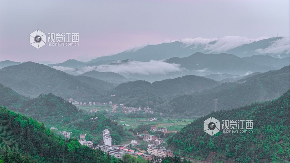 2026年4月11日在江西省吉安市遂川县汤湖镇万亩茶园拍摄的画面。