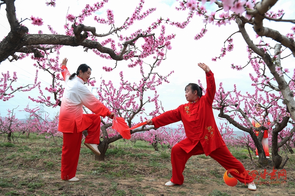 太极拳爱好者表演太极拳