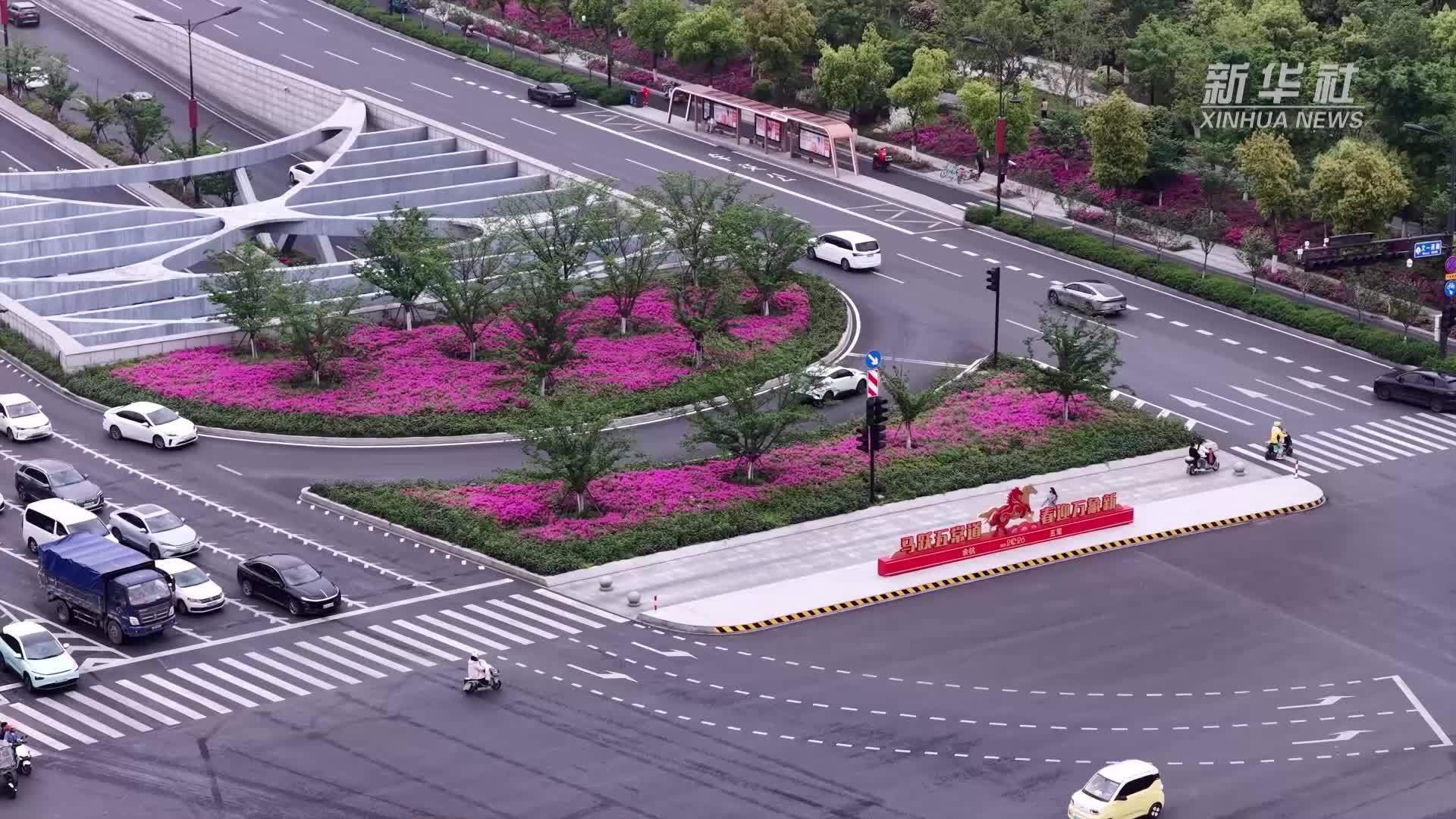 杭州余杭：十万株春鹃盛放 一路繁花一路诗