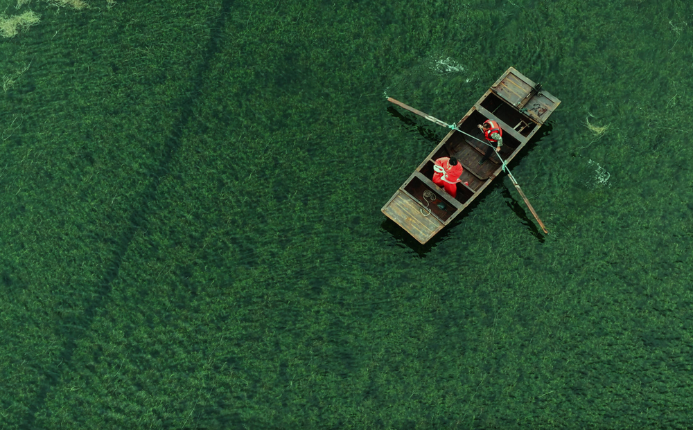 济宁微山独山岛：在这里，遇见梦幻般的水下“森林”