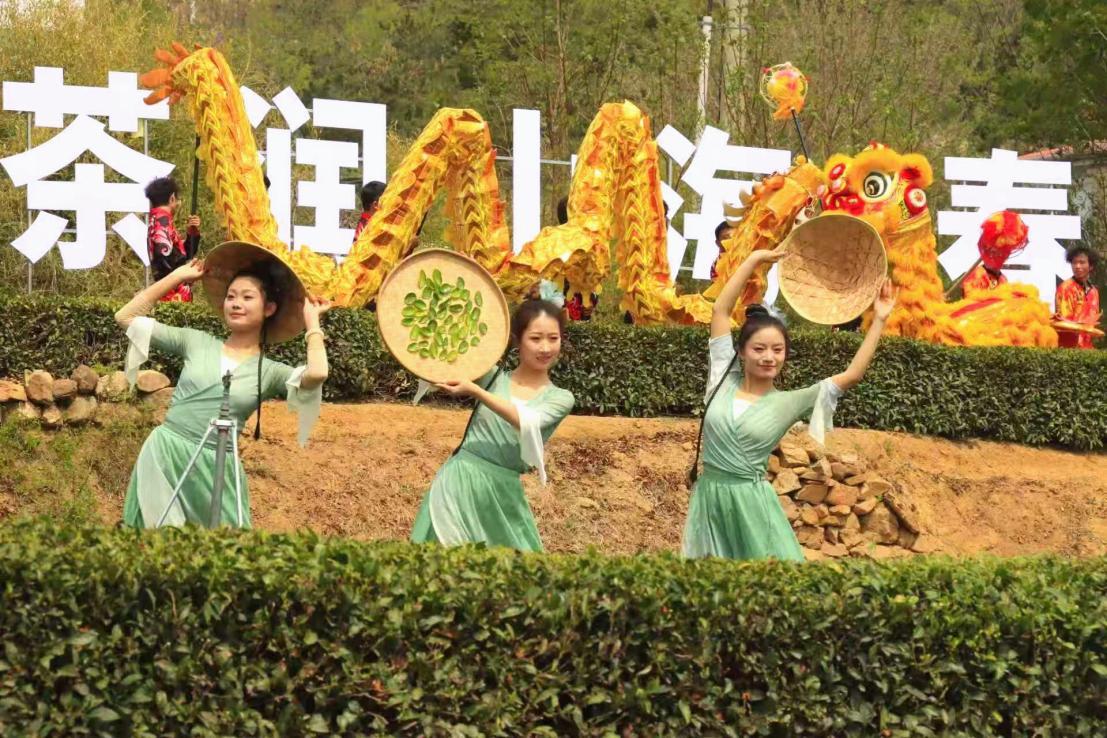 茶垄间，着青绿衣裙的姑娘们手捧新茶，伴金龙舞狮，“茶润山海” 的春日茶事里，传统与春味撞得正好。宋金勇 摄
