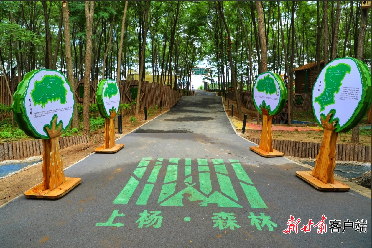崆峒区上杨乡小岔村森林康养露营基地　崆峒融媒供图