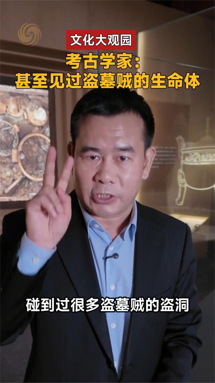 考古学家唐际根：见过很多盗墓贼的踪迹，甚至见过盗墓贼的生命体