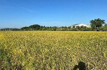 海丰赤坑 |春风拂沃野 春耕正当时