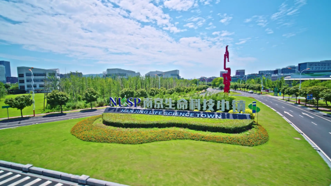 超燃！南京江宁这个赛事青春活力满满！