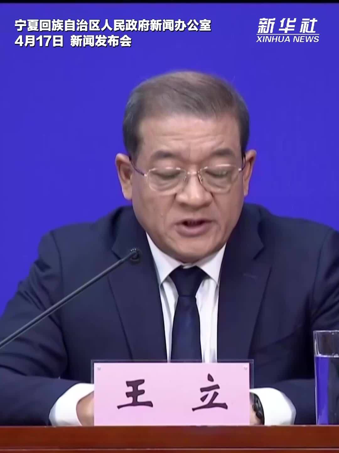 2025年西夏陵游客接待量增长70%