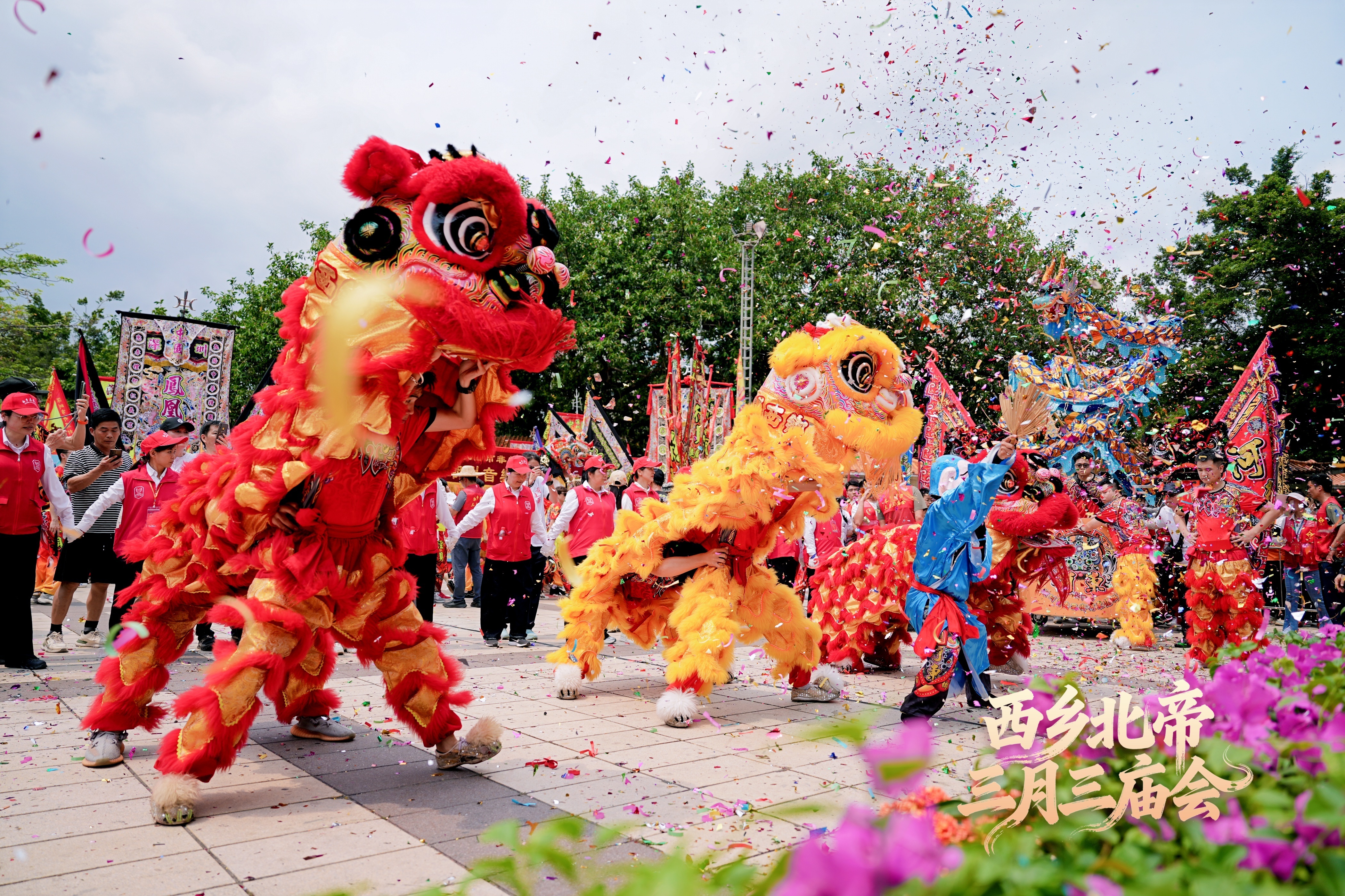 燃！西乡北帝三月三庙会今日盛大启幕