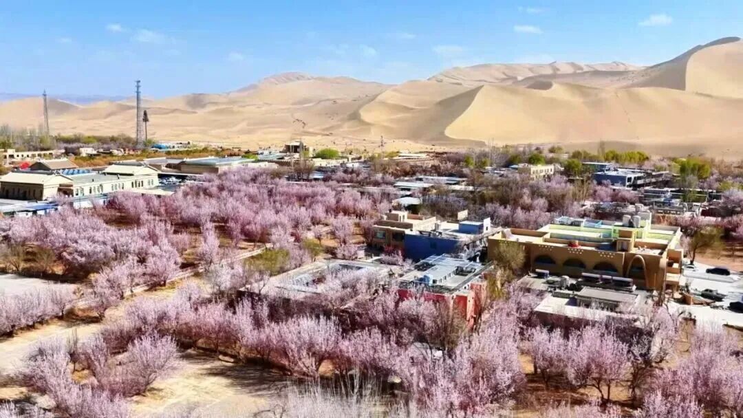 图源：敦煌发布