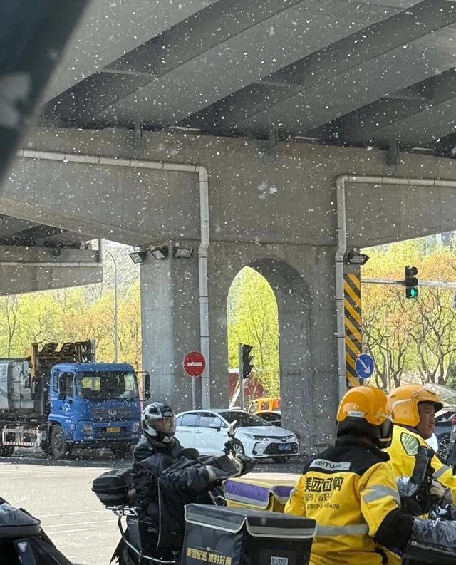 北京人集体“渡劫”！漫天飞絮像下雪，过敏党：鼻子不是自己的了