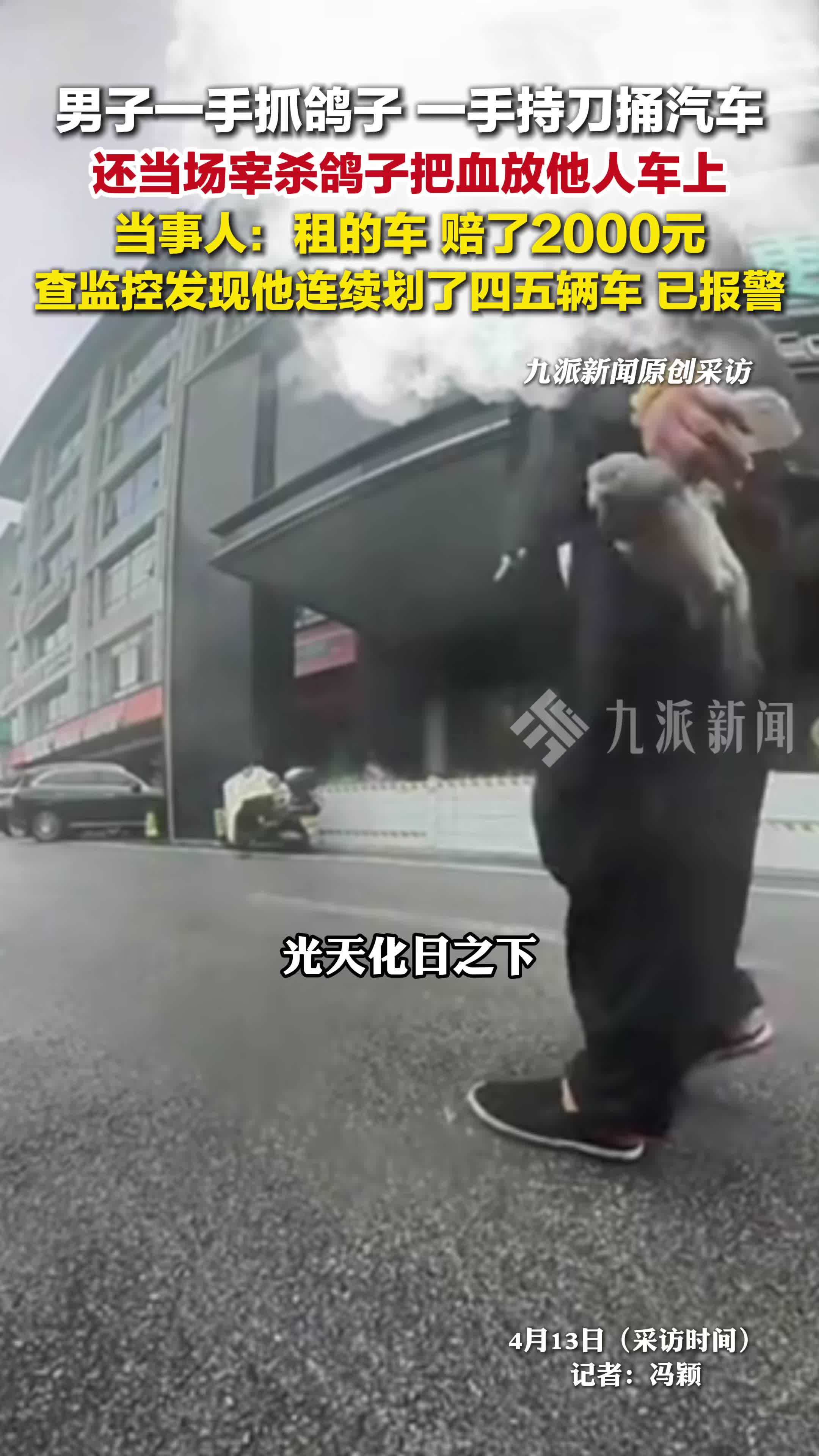 湖南长沙，男子一手抓鸽子一手持刀捅汽车，连续划了四五辆车