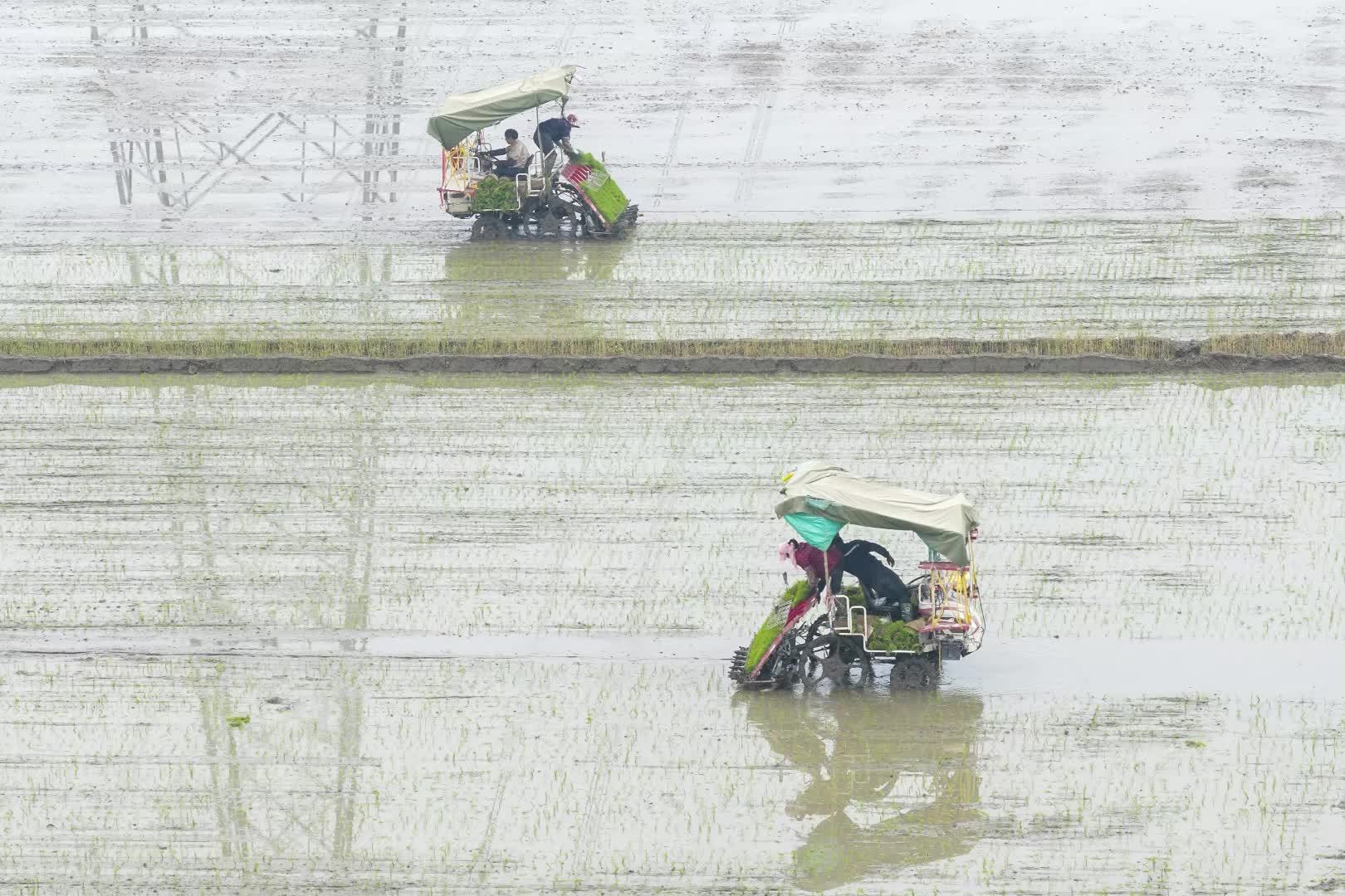 春耕正当时｜春日农耕不负春光