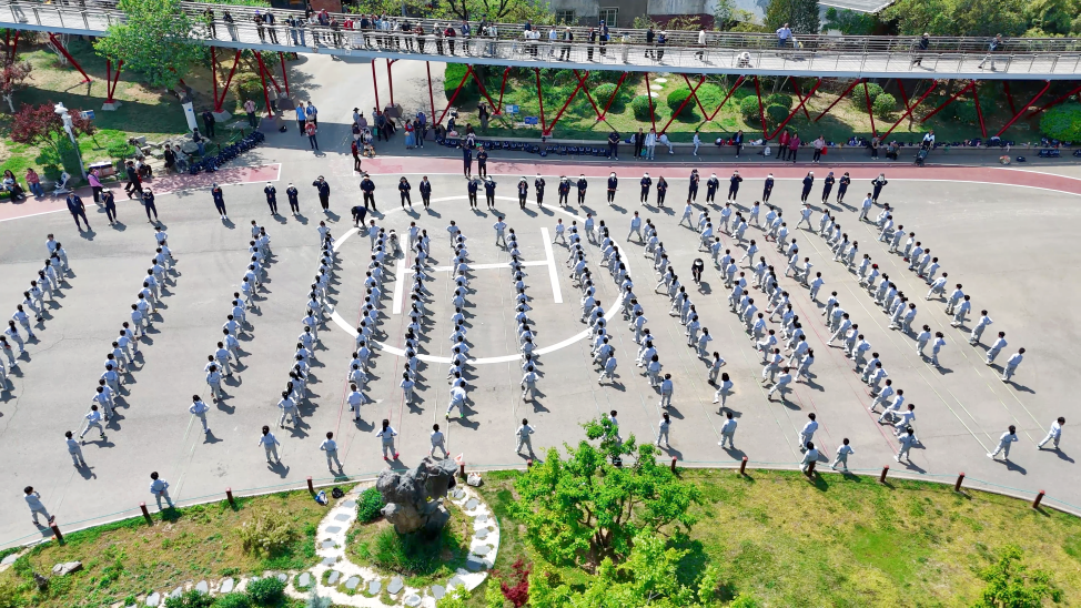 超萌出圈！把春天、运动、快乐一网打尽