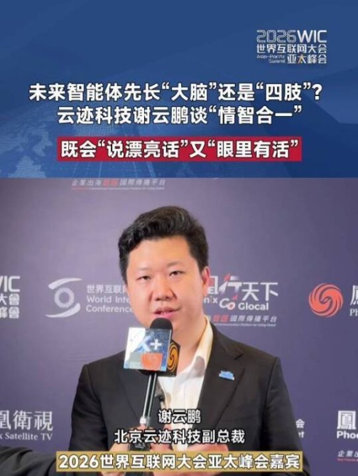智能体先长“大脑”还是“四肢”？云迹科技谢云鹏畅谈