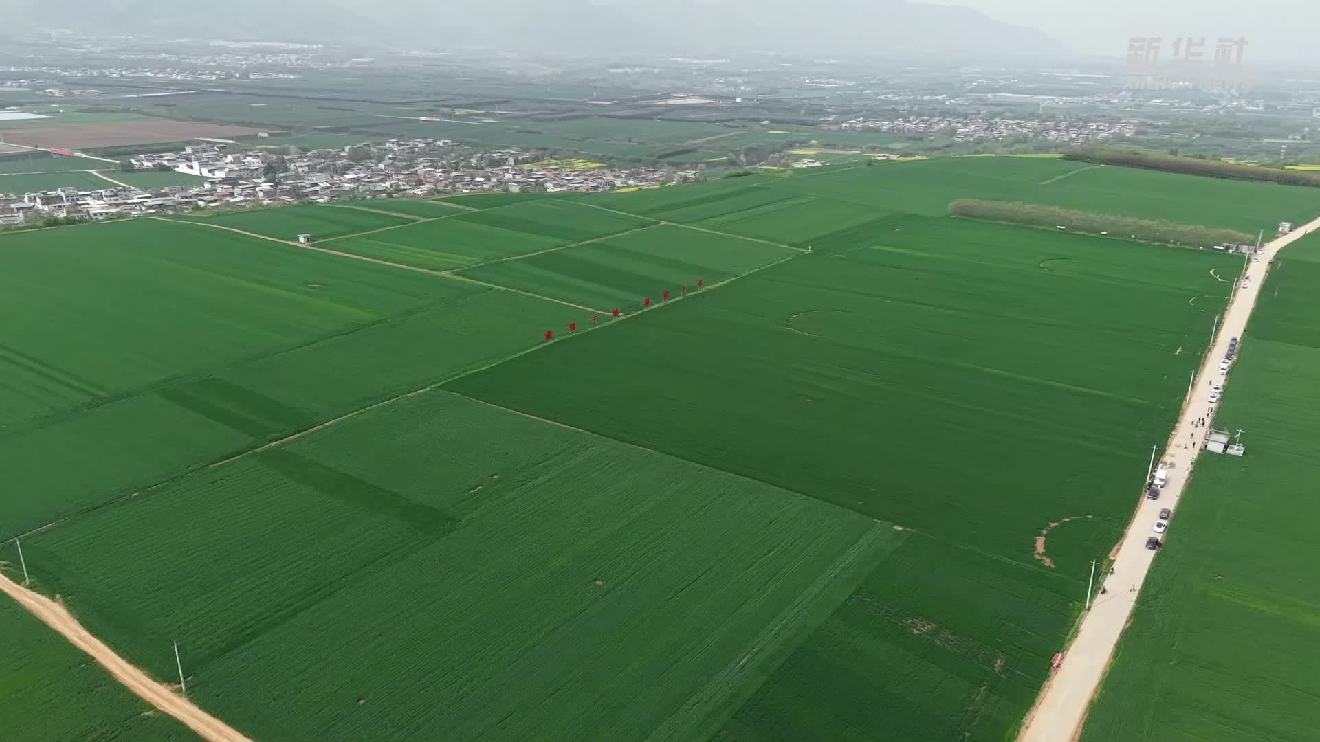 陕西西安：秦岭脚下春管忙