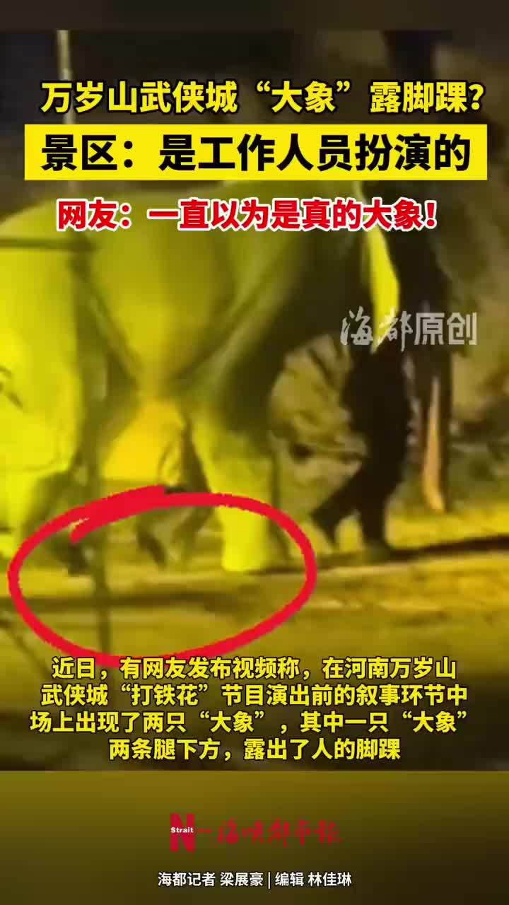 景区回应万岁山武侠城大象露脚踝：未饲养过大象，是人扮演的