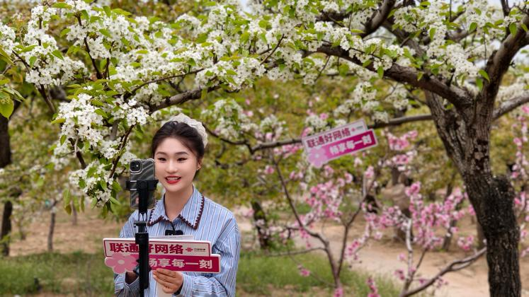春满齐鲁山东联通客服主播邀您共赏一路繁花