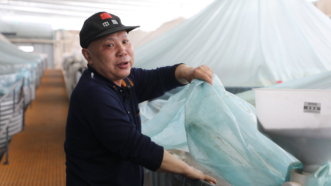 △金川区“锶甜虾”南美白对虾精品海水养殖基地