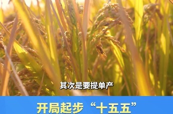 开局起步“十五五”湖南专场新闻发布会｜湖南省人民政府副省长陈竞：夯实“洞庭粮仓”，2030年湖南粮食产量要达到625亿斤