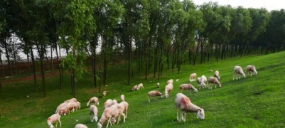 锁定这条有氧线，黄河春光醉人间