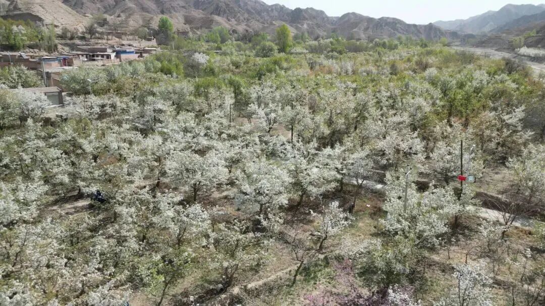 图源：靖远电视台