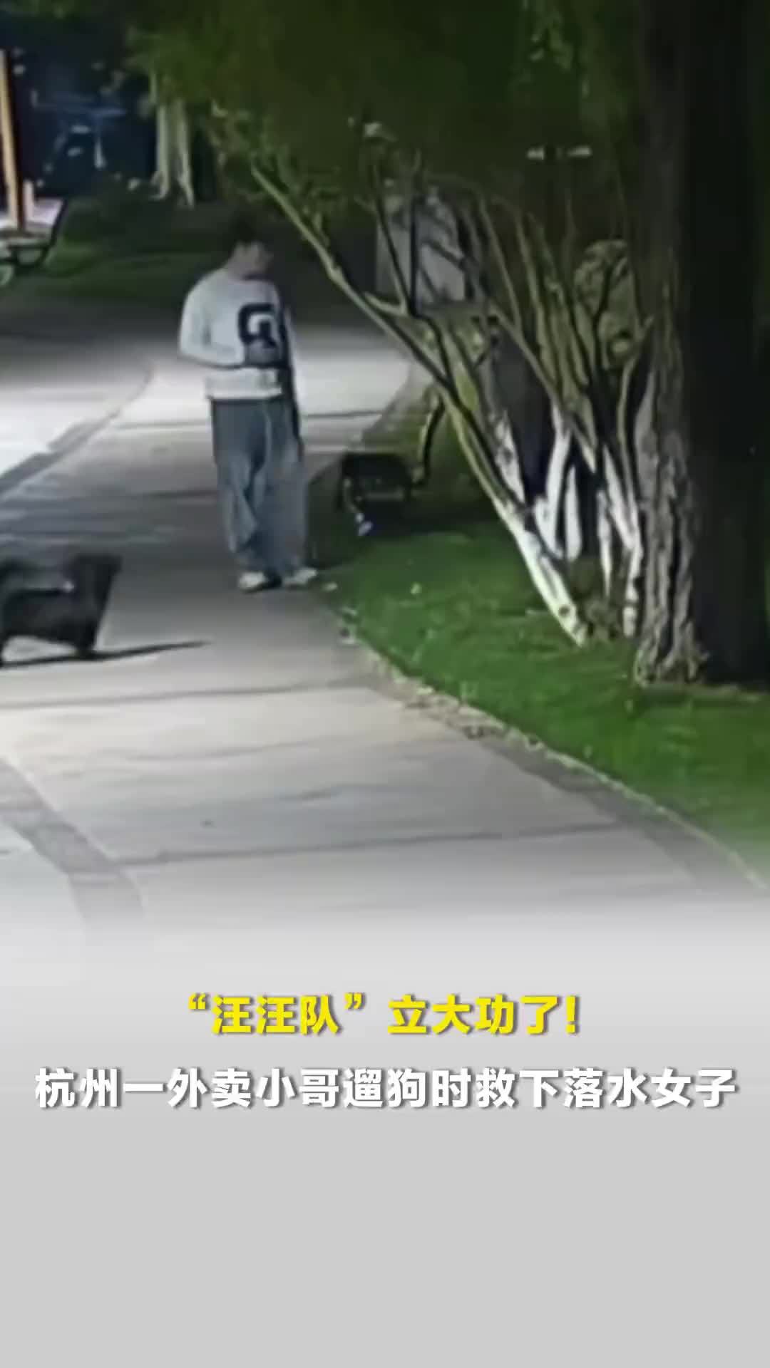 “汪汪队”立大功了！杭州一外卖小哥遛狗时救下落水女子