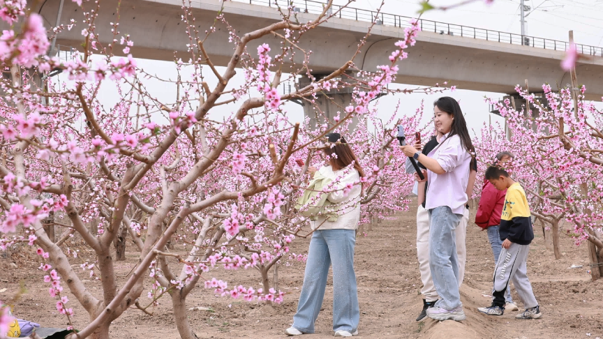 图源：凉州文旅