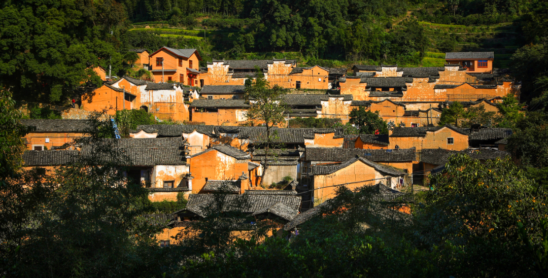 金色布达拉宫 杨家堂村竞渡南明湖 作者 雷宁  单位 丽水日报社 电话 15857893848.jpg