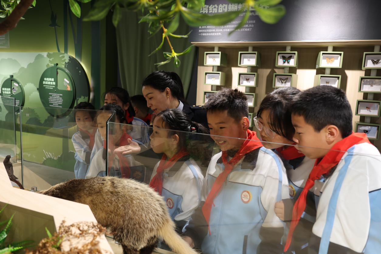 切身体会生态保护对国家安全的意义